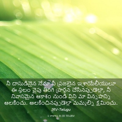 Picture 03 - 1 రాజులు 8:30 TELIRV - నీ దాసుడినైన నేనూ - Bible Verse Picture