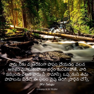 Picture 03 - 1 రాజులు 8:35 TELIRV - వారు నీకు - Bible Verse Picture