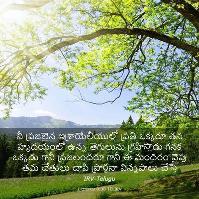 Picture 03 - 1 రాజులు 8:38 TELIRV - నీ ప్రజలైన - Bible Verse Picture