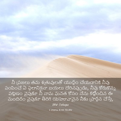 Picture 03 - 1 రాజులు 8:44 TELIRV - నీ ప్రజలు తమ - Bible Verse Picture