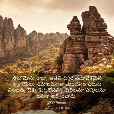 Picture 03 - 1 రాజులు 8:5 TELIRV - సొలొమోను రాజు, - Bible Verse Picture
