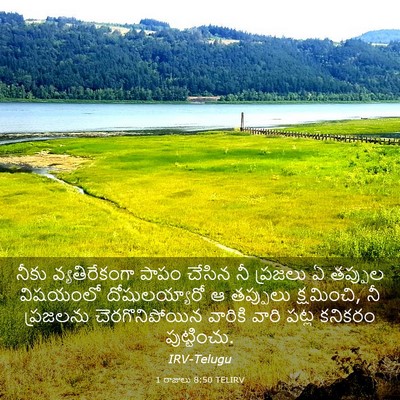 Picture 03 - 1 రాజులు 8:50 TELIRV - నీకు వ్యతిరేకంగా - Bible Verse Picture