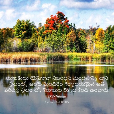 Picture 03 - 1 రాజులు 8:6 TELIRV - యాజకులు యెహోవా - Bible Verse Picture