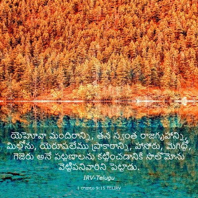 Picture 03 - 1 రాజులు 9:15 TELIRV - యెహోవా - Bible Verse Picture