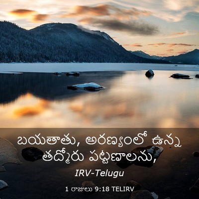 Picture 03 - 1 రాజులు 9:18 TELIRV - బయతాతు, అరణ్యంలో - Bible Verse Picture