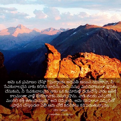 Picture 03 - 1 సమూయేలు 1:11 TELIRV - ఆమె ఒక ప్రమాణం - Bible Verse Picture