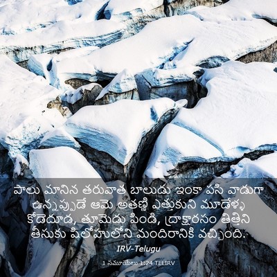 Picture 03 - 1 సమూయేలు 1:24 TELIRV - పాలు మానిన తరువాత - Bible Verse Picture
