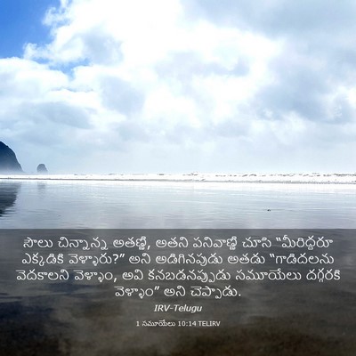 Picture 03 - 1 సమూయేలు 10:14 TELIRV - సౌలు చిన్నాన్న - Bible Verse Picture