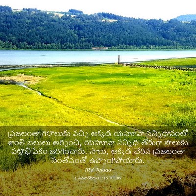 Picture 03 - 1 సమూయేలు 11:15 TELIRV - ప్రజలంతా - Bible Verse Picture