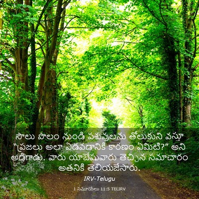 Picture 03 - 1 సమూయేలు 11:5 TELIRV - సౌలు పొలం నుండి - Bible Verse Picture