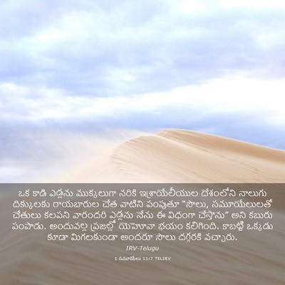 Picture 03 - 1 సమూయేలు 11:7 TELIRV - ఒక కాడి ఎడ్లను - Bible Verse Picture