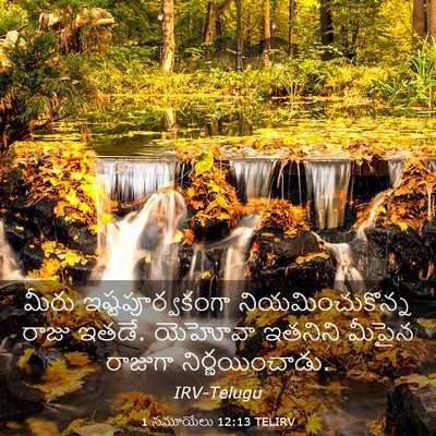 Picture 03 - 1 సమూయేలు 12:13 TELIRV - మీరు - Bible Verse Picture