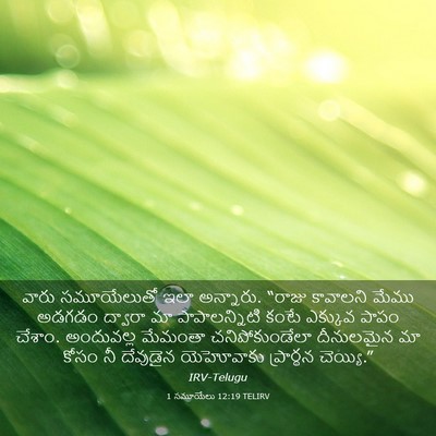 Picture 03 - 1 సమూయేలు 12:19 TELIRV - వారు సమూయేలుతో - Bible Verse Picture