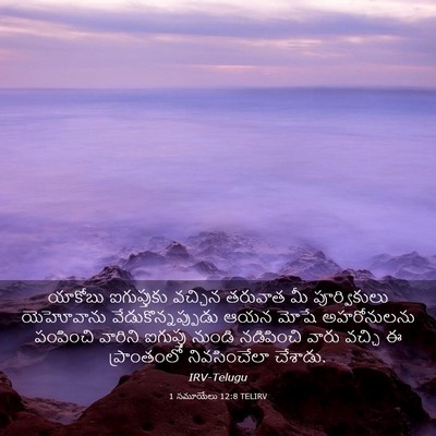 Picture 03 - 1 సమూయేలు 12:8 TELIRV - యాకోబు ఐగుప్తుకు - Bible Verse Picture