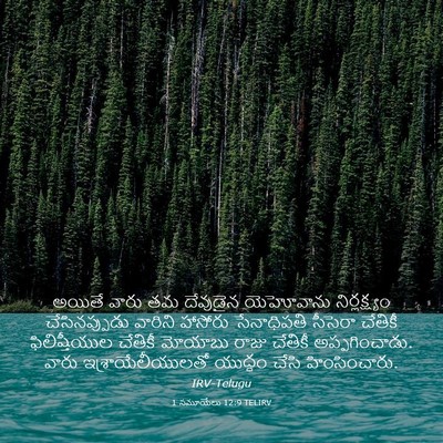 Picture 03 - 1 సమూయేలు 12:9 TELIRV - అయితే వారు తమ - Bible Verse Picture