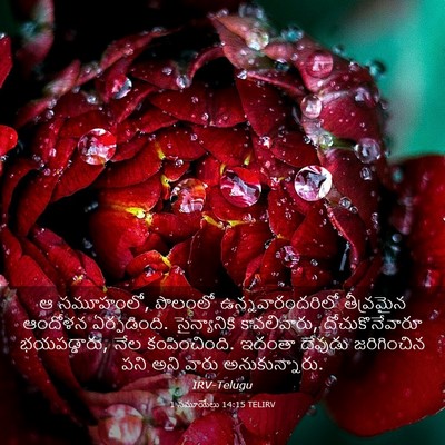 Picture 03 - 1 సమూయేలు 14:15 TELIRV - ఆ సమూహంలో, పొలంలో - Bible Verse Picture