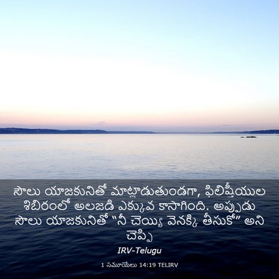 Picture 03 - 1 సమూయేలు 14:19 TELIRV - సౌలు యాజకునితో - Bible Verse Picture