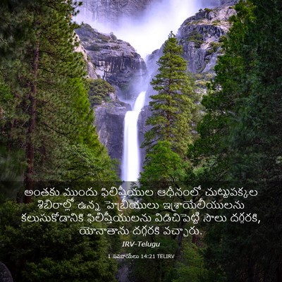 Picture 03 - 1 సమూయేలు 14:21 TELIRV - అంతకు ముందు - Bible Verse Picture