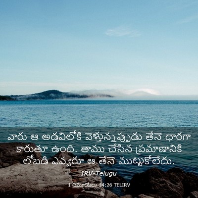 Picture 03 - 1 సమూయేలు 14:26 TELIRV - వారు ఆ అడవిలోకి - Bible Verse Picture