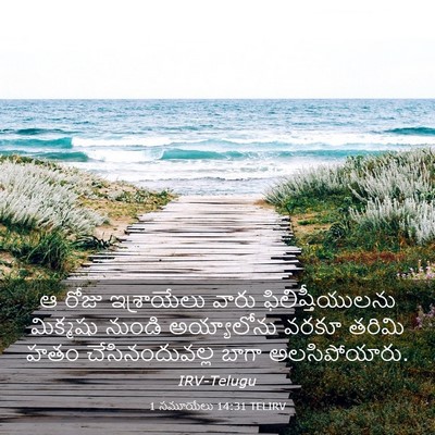 Picture 03 - 1 సమూయేలు 14:31 TELIRV - ఆ రోజు ఇశ్రాయేలు - Bible Verse Picture
