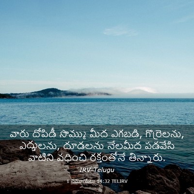 Picture 03 - 1 సమూయేలు 14:32 TELIRV - వారు దోపిడీ - Bible Verse Picture