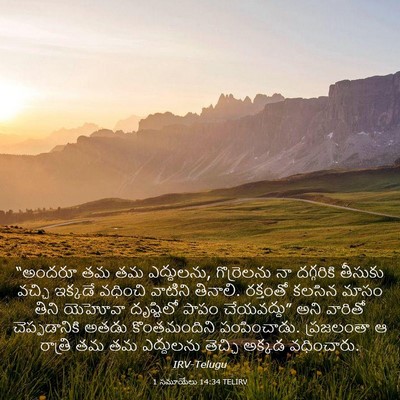 Picture 03 - 1 సమూయేలు 14:34 TELIRV - “అందరూ తమ తమ - Bible Verse Picture