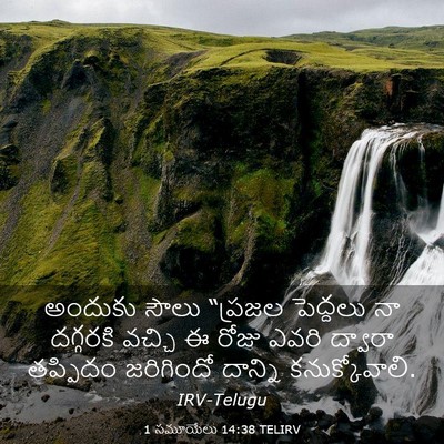 Picture 03 - 1 సమూయేలు 14:38 TELIRV - అందుకు సౌలు - Bible Verse Picture