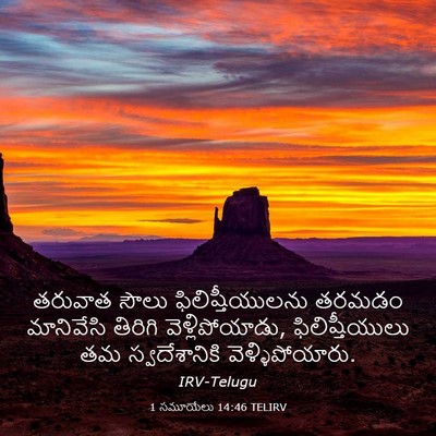 Picture 03 - 1 సమూయేలు 14:46 TELIRV - తరువాత సౌలు - Bible Verse Picture