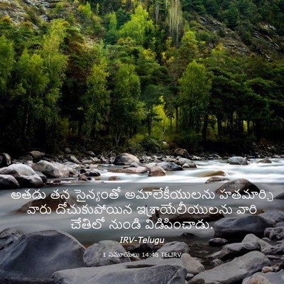Picture 03 - 1 సమూయేలు 14:48 TELIRV - అతడు తన సైన్యంతో - Bible Verse Picture