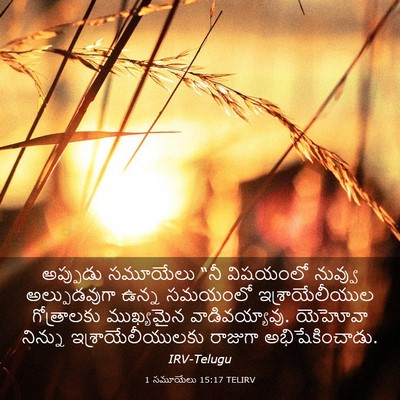 Picture 03 - 1 సమూయేలు 15:17 TELIRV - అప్పుడు సమూయేలు - Bible Verse Picture