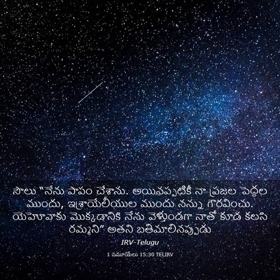 Picture 03 - 1 సమూయేలు 15:30 TELIRV - సౌలు “నేను పాపం - Bible Verse Picture