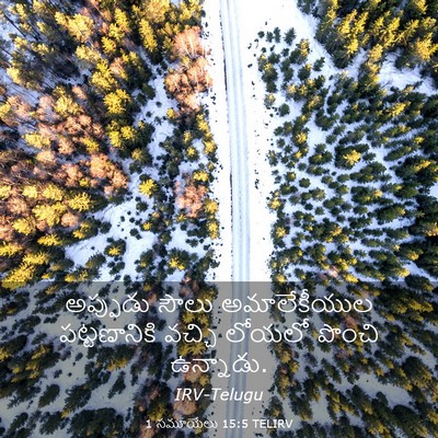 Picture 03 - 1 సమూయేలు 15:5 TELIRV - అప్పుడు సౌలు - Bible Verse Picture