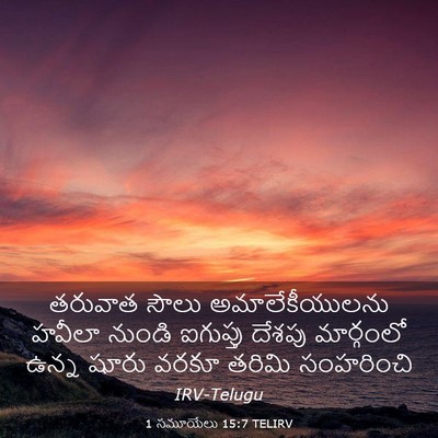 Picture 03 - 1 సమూయేలు 15:7 TELIRV - తరువాత సౌలు - Bible Verse Picture
