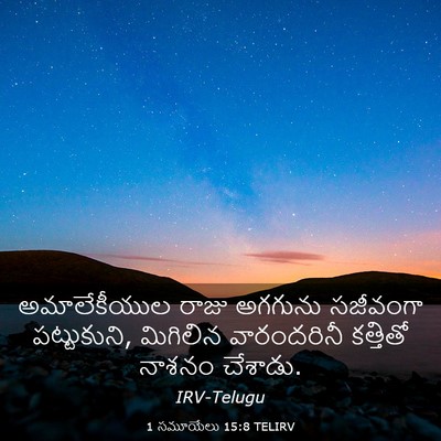 Picture 03 - 1 సమూయేలు 15:8 TELIRV - అమాలేకీయుల రాజు - Bible Verse Picture