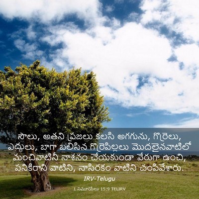 Picture 03 - 1 సమూయేలు 15:9 TELIRV - సౌలు, అతని ప్రజలు - Bible Verse Picture