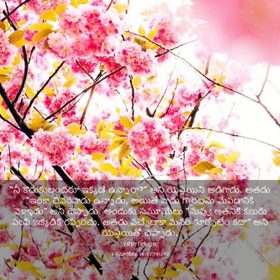 Picture 03 - 1 సమూయేలు 16:11 TELIRV - “నీ కొడుకులందరూ - Bible Verse Picture