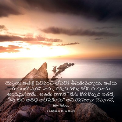 Picture 03 - 1 సమూయేలు 16:12 TELIRV - యెష్షయి అతణ్ణి - Bible Verse Picture