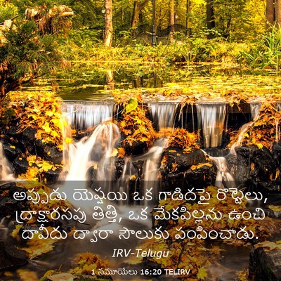 Picture 03 - 1 సమూయేలు 16:20 TELIRV - అప్పుడు యెష్షయి - Bible Verse Picture