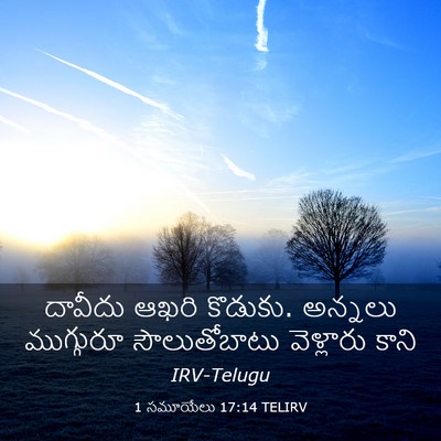 Picture 03 - 1 సమూయేలు 17:14 TELIRV - దావీదు ఆఖరి - Bible Verse Picture
