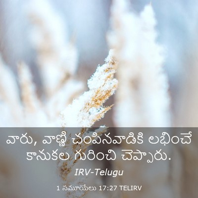 Picture 03 - 1 సమూయేలు 17:27 TELIRV - వారు, వాణ్ణి - Bible Verse Picture
