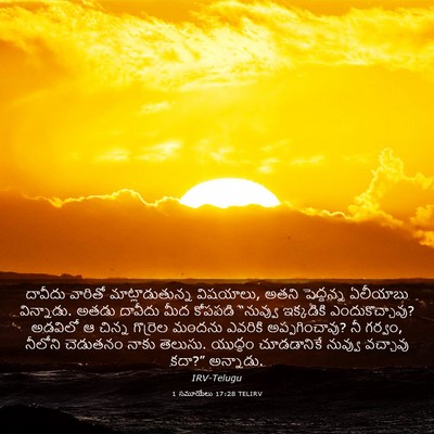 Picture 03 - 1 సమూయేలు 17:28 TELIRV - దావీదు వారితో - Bible Verse Picture