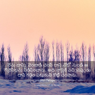 Picture 03 - 1 సమూయేలు 17:35 TELIRV - నేను దాన్ని - Bible Verse Picture