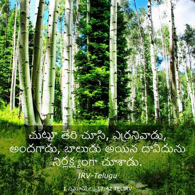 Picture 03 - 1 సమూయేలు 17:42 TELIRV - చుట్టూ తేరి చూసి, - Bible Verse Picture