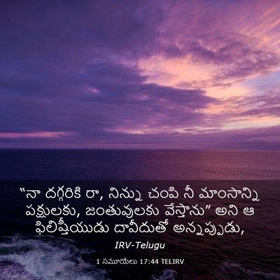 Picture 03 - 1 సమూయేలు 17:44 TELIRV - “నా దగ్గరికి రా, - Bible Verse Picture