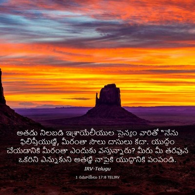 Picture 03 - 1 సమూయేలు 17:8 TELIRV - అతడు నిలబడి - Bible Verse Picture