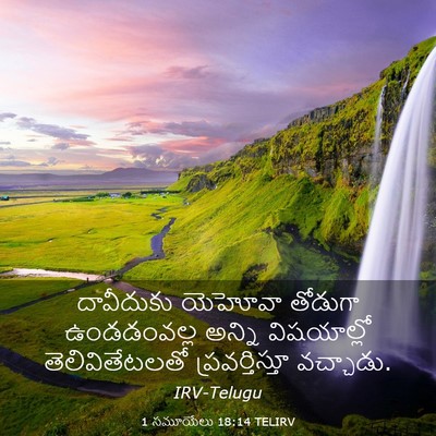 Picture 03 - 1 సమూయేలు 18:14 TELIRV - దావీదుకు యెహోవా - Bible Verse Picture