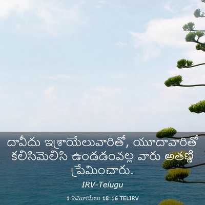 Picture 03 - 1 సమూయేలు 18:16 TELIRV - దావీదు - Bible Verse Picture