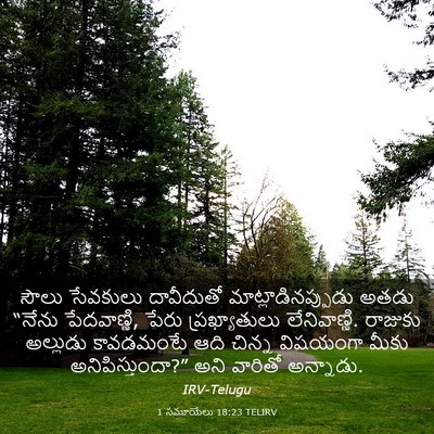 Picture 03 - 1 సమూయేలు 18:23 TELIRV - సౌలు సేవకులు - Bible Verse Picture