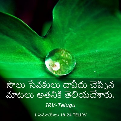 Picture 03 - 1 సమూయేలు 18:24 TELIRV - సౌలు సేవకులు - Bible Verse Picture