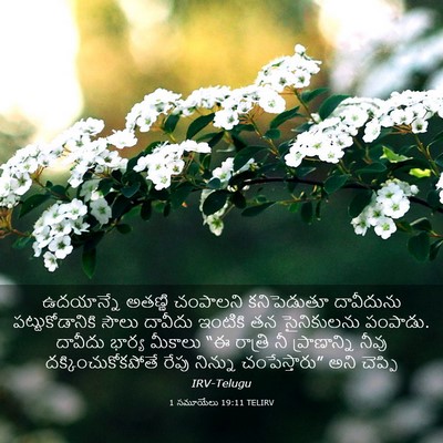 Picture 03 - 1 సమూయేలు 19:11 TELIRV - ఉదయాన్నే అతణ్ణి - Bible Verse Picture